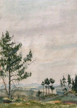 Galerie Jacobsa