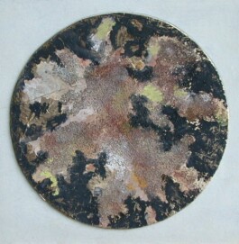 Galerie Jacobsa