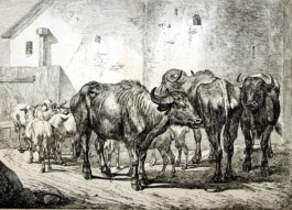 Galerie Jacobsa