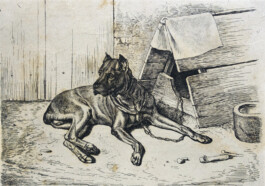 Galerie Jacobsa