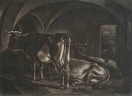 Galerie Jacobsa