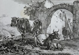 Galerie Jacobsa