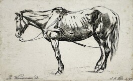Galerie Jacobsa