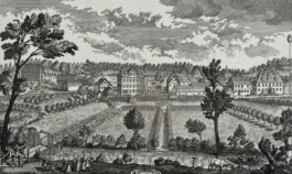 Galerie Jacobsa