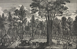Galerie Jacobsa